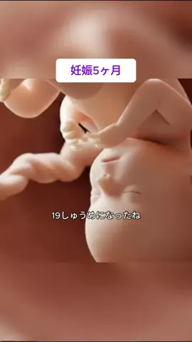 ひまりん🍕のTikTok投稿