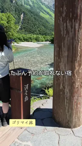 ゴリラマイスター（旅）のTikTok投稿