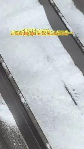 ぬい𓅮ちょいラクするための暮らしメモのTikTok投稿