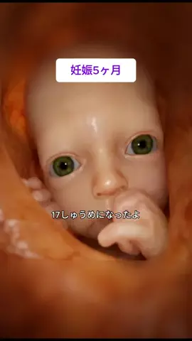 ひまりん🍕のTikTok投稿