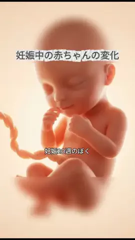 ひまりん🍕のTikTok投稿