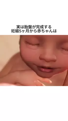ひまりん🍕のTikTok投稿