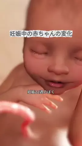 ひまりん🍕のTikTok投稿