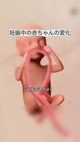 ひまりん🍕のTikTok投稿