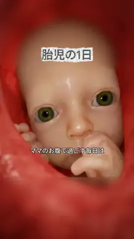ひまりん🍕のTikTok投稿
