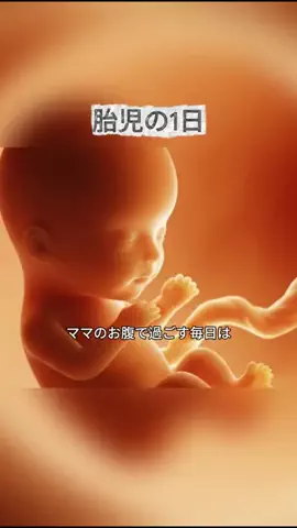 ひまりん🍕のTikTok投稿