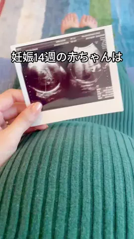 ひまりん🍕のTikTok投稿