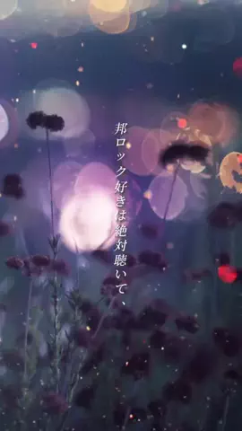 ayaman.animal.musicのTikTok投稿