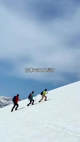 hana旅のTikTok投稿