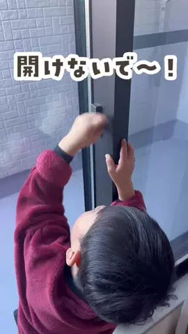 りんママのTikTok投稿