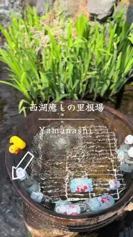 とん（旅動画）のTikTok投稿