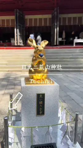 とん（旅動画）のTikTok投稿