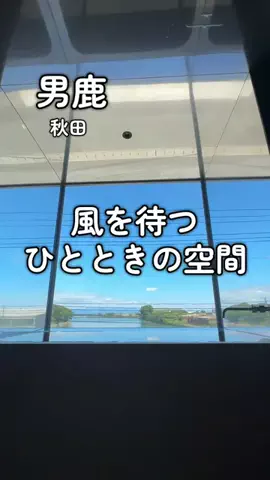 EXPOくまさんのTikTok投稿