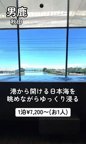 EXPOくまさんのTikTok投稿