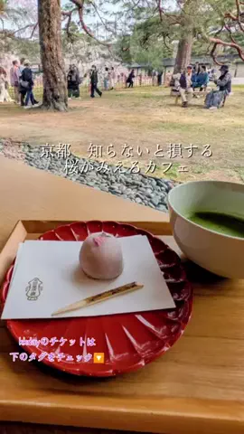 京都コンシェル❀めぐみ❀のTikTok投稿