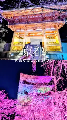 京都コンシェル❀めぐみ❀のTikTok投稿