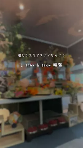 また泊まりたい宿だけ。のTikTok投稿