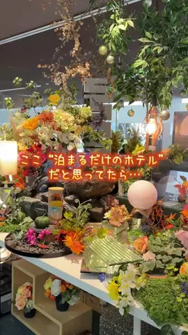 また泊まりたい宿だけ。のTikTok投稿