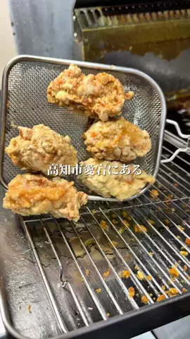 LSC放送局|高知 ローカルLife🌿のTikTok投稿