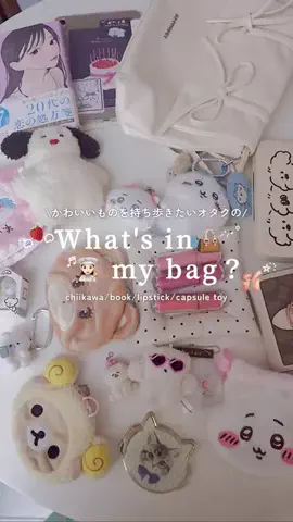 ちゃんめぐのTikTok投稿