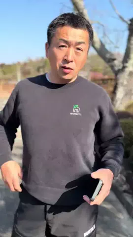 MORIKYUのTikTok投稿