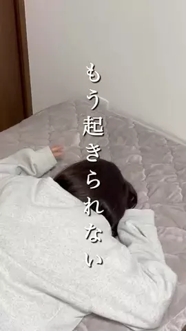 うさ⌇真似するだけで整う暮らしのTikTok投稿