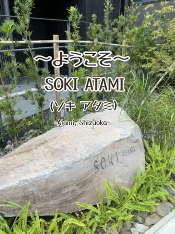 リュウリュウのTikTok投稿