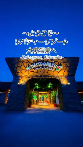 リュウリュウのTikTok投稿