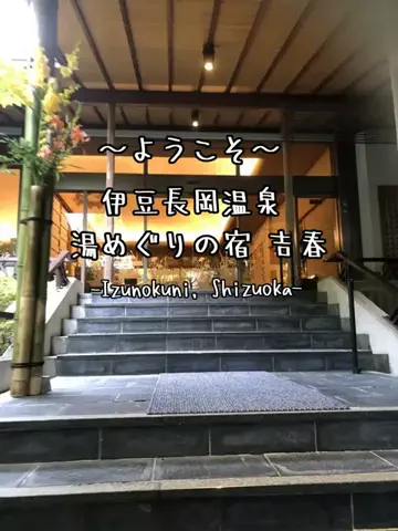 リュウリュウのTikTok投稿