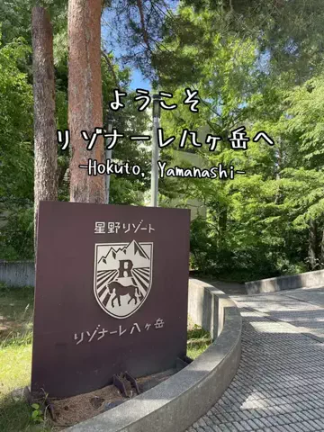 リュウリュウのTikTok投稿