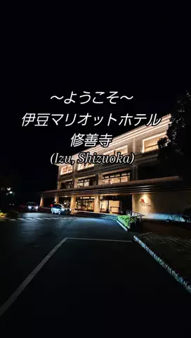 リュウリュウのTikTok投稿