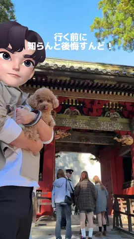 chiko_tukuのTikTok投稿
