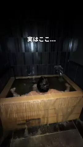 サウナコレクション【サウコレ！】のTikTok投稿
