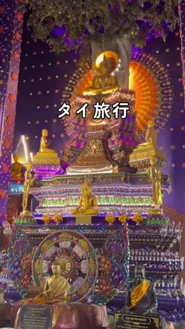 Mona ❘ ハーフ直伝タイ旅行ビギナーマップのTikTok投稿