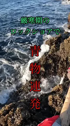 ケンシロウ K×K Fishing🌴のTikTok投稿