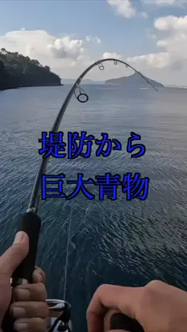 ケンシロウ K×K Fishing🌴のTikTok投稿