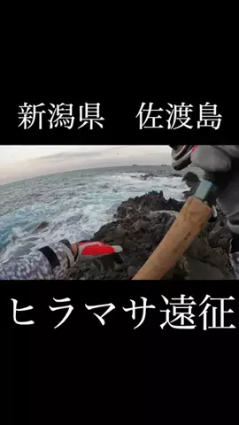 ケンシロウ K×K Fishing🌴のTikTok投稿