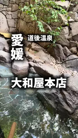 関西ごはんのTikTok PR投稿：限界OLのホテル紹介。大和屋本店は、道後温泉でど真ん中…