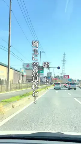 rina_cafegourmetのTikTok投稿