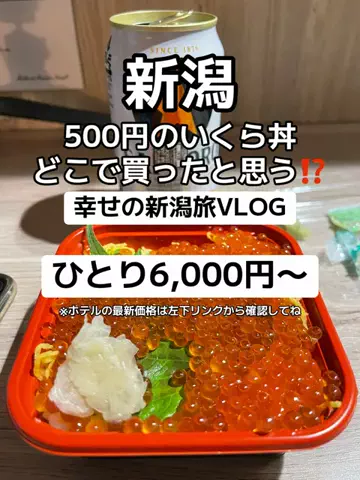 🌺なみひらりさ✈️🗺️｜絶景ホテル×コスパ旅のTikTok投稿