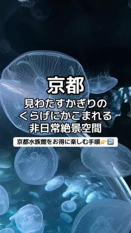 🌺なみひらりさ✈️🗺️｜絶景ホテル×コスパ旅のTikTok投稿