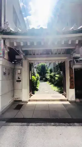 Malene | Japan travel 🎌のTikTok投稿