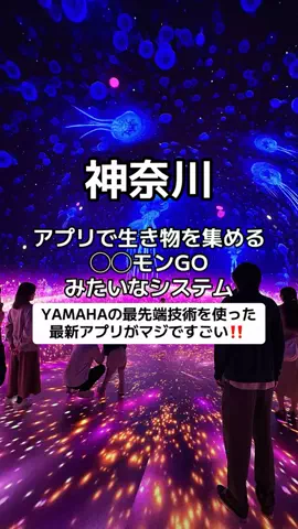 🌺なみひらりさ✈️🗺️｜絶景ホテル×コスパ旅のTikTok投稿