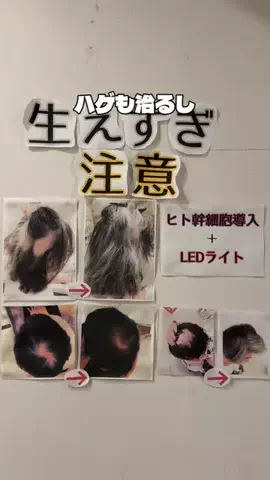 🌺なみひらりさ✈️🗺️｜絶景ホテル×コスパ旅のTikTok投稿