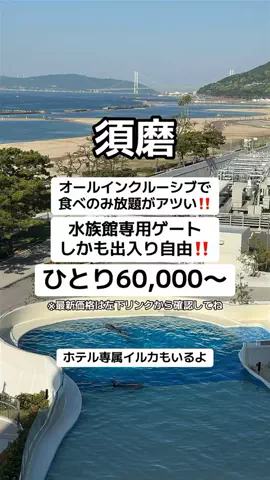 🌺なみひらりさ✈️🗺️｜絶景ホテル×コスパ旅のTikTok投稿