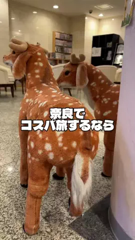 🌺なみひらりさ✈️🗺️｜絶景ホテル×コスパ旅のTikTok投稿