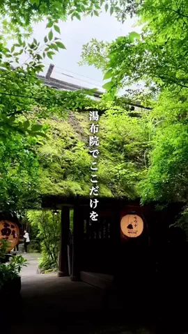 けい/大分県の温泉スポットをおしえちゃんな！のTikTok投稿