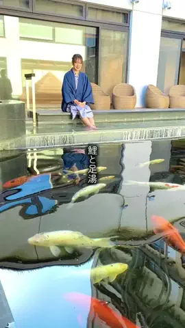 TABIZINEのTikTok投稿