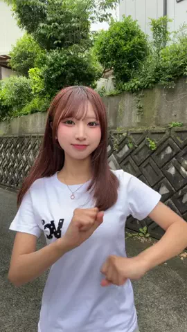 ちゃをのTikTok投稿