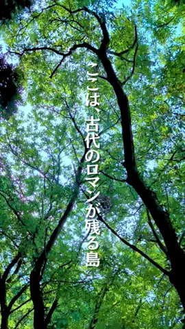 TABIZINEのTikTok投稿